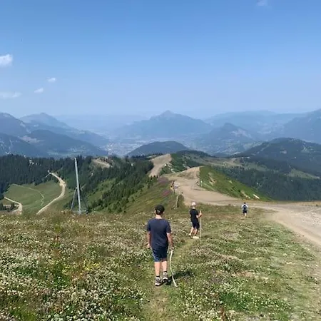 Pom Pom, 3 Bedroom With Stunning Mountain Views-samoens Apartment